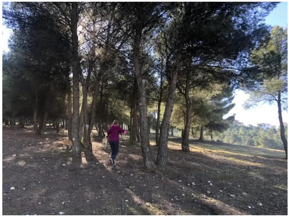 Apartmán Zubicalm La Zubia  Exteriér fotografie